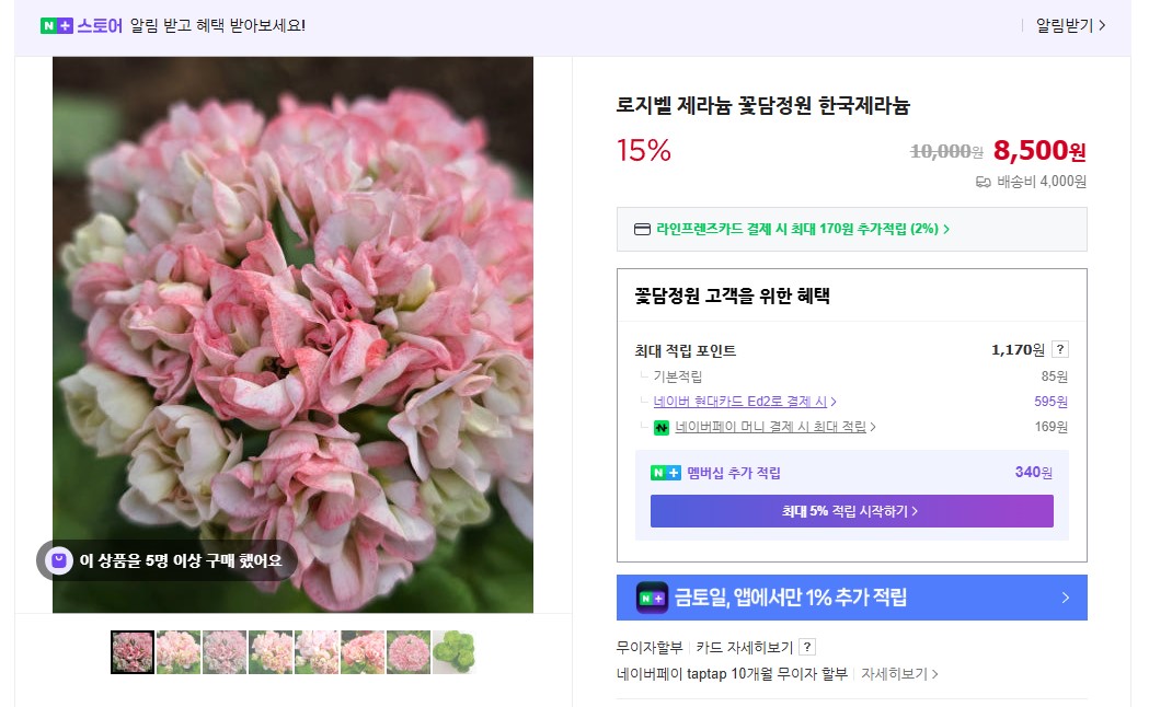 로지벨.jpg