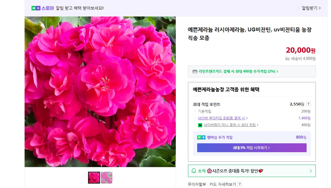 비쟌티움.jpg