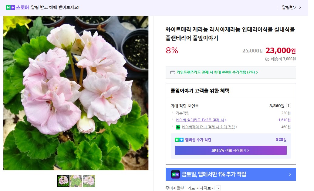 화이트매직.jpg
