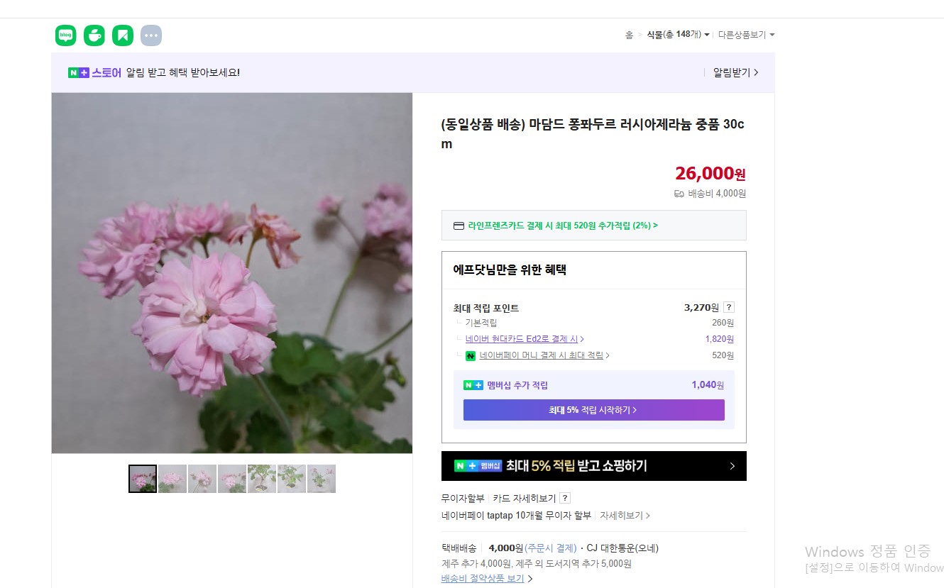 마담스.jpg