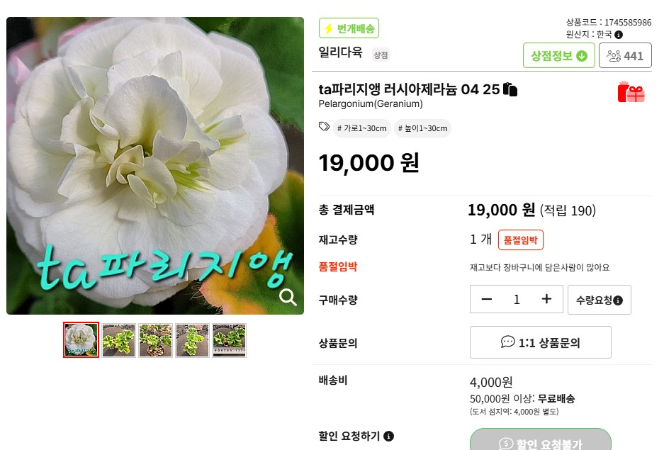 파리지앵.jpg