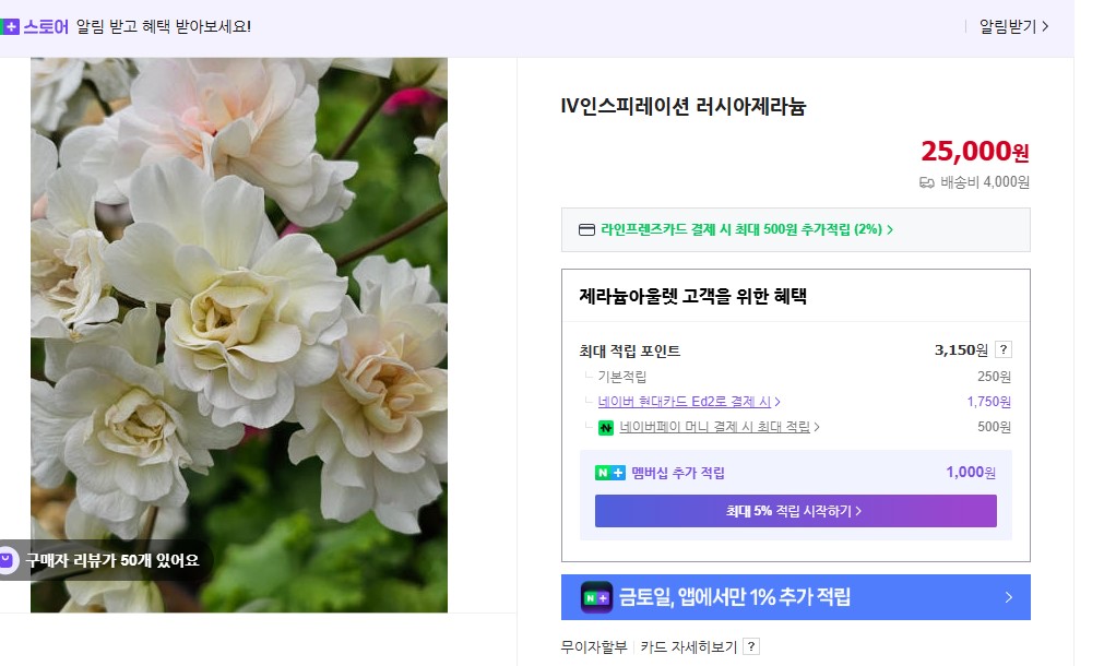 인피레이션.jpg