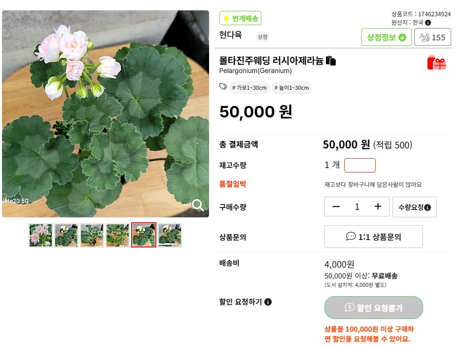 몰타진주웨딩.jpg