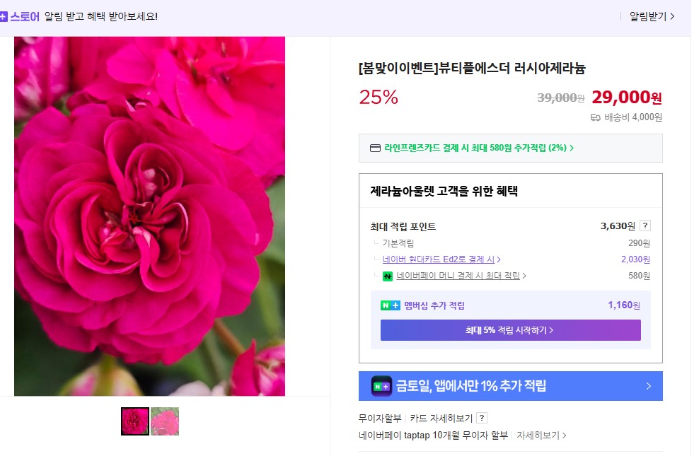 뷰티풀에스더.jpg
